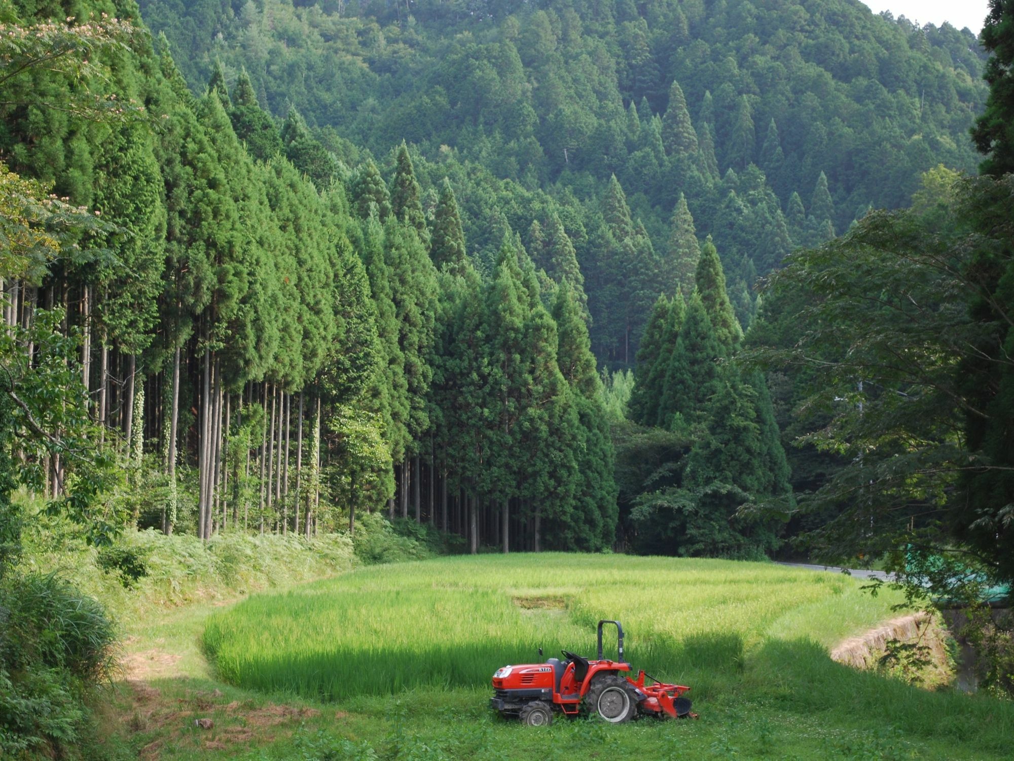 Вилла Goemon Kyoto Japan Экстерьер фото